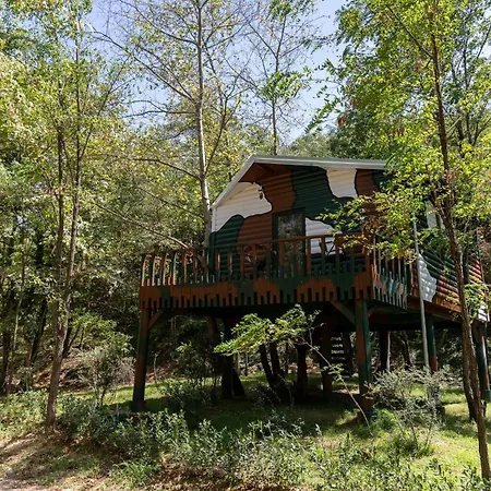 酒店 Kazerma E Cerenit 3*